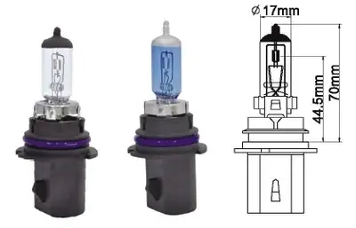 AMPUL [12V. DOT9007 65/45W]