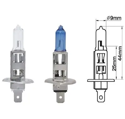 AMPUL [24V. H1 70W ]