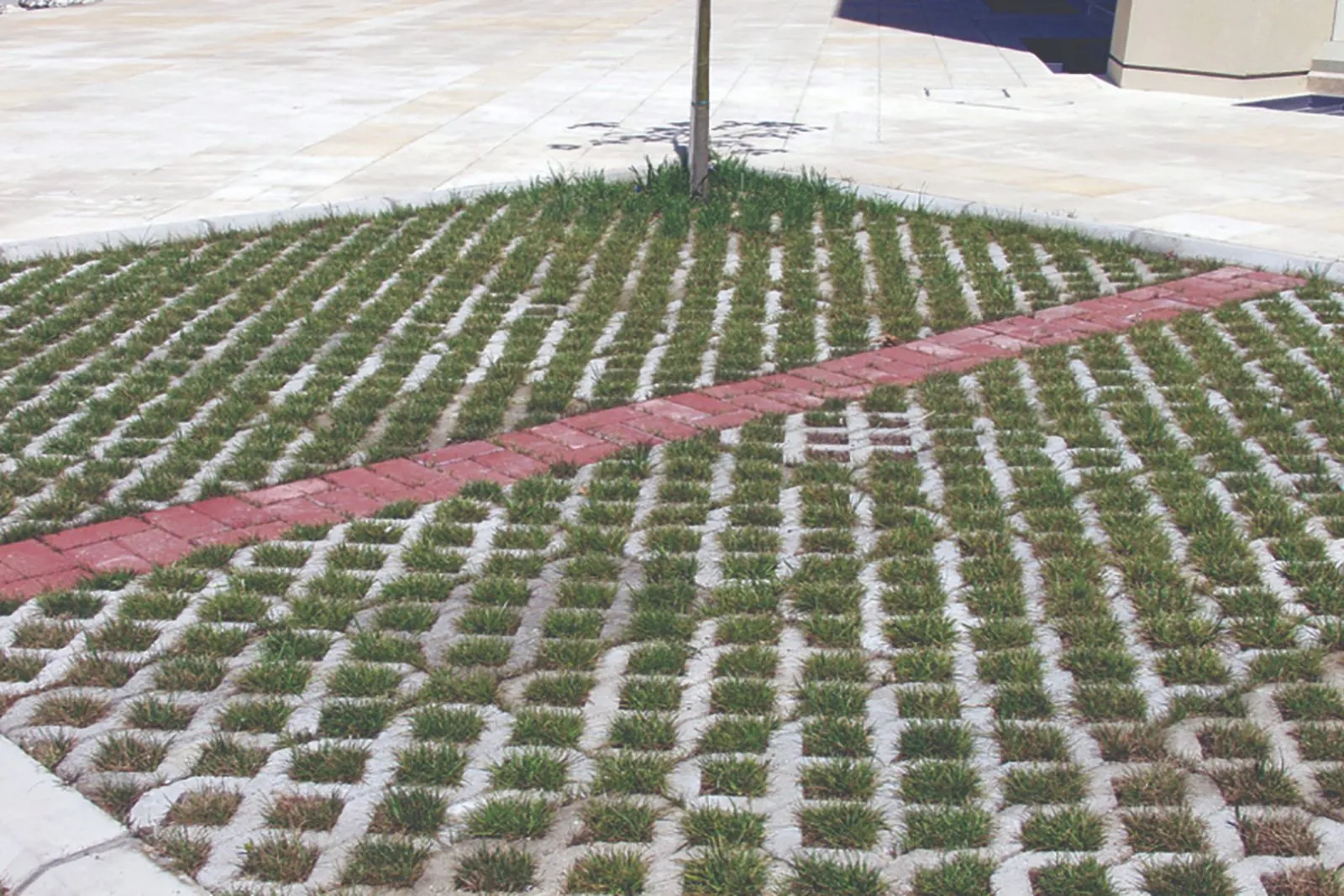 Çim (Yeşil) Parke